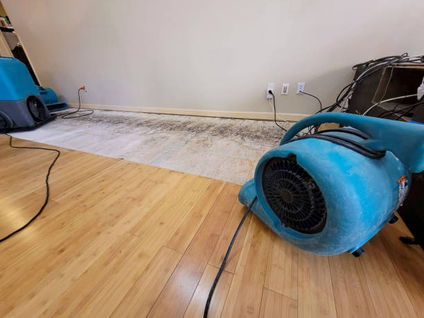 Professional Ceiling Water Damage Repair technician working in Gilbert, MN